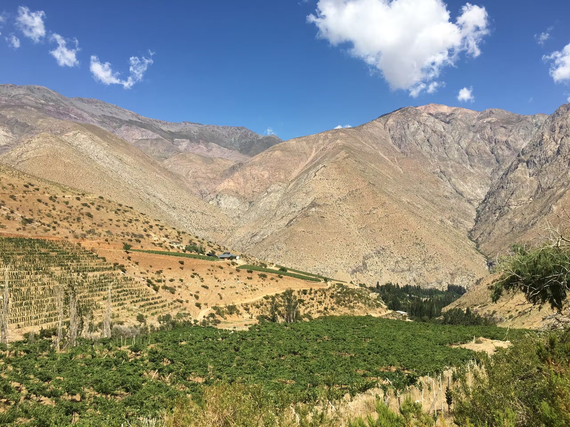 Valle del Elqui